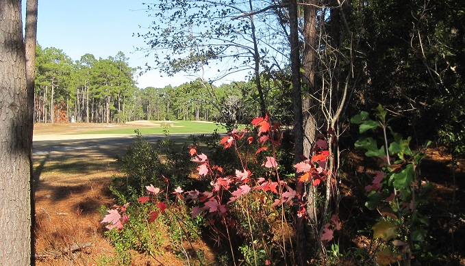 View the golf course at Boiling Spring Lakes NC.